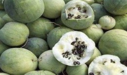 韩国吃瓜网友,揭秘韩国娱乐圈那些不为人知的幕后故事