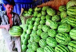 陕西吃瓜事件,一场网络热议背后的真相与反思