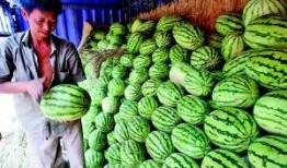 陕西吃瓜事件,一场网络热议背后的真相与反思