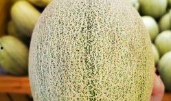 山姆小蜜瓜怎么吃,多味食法，尽享夏日清新