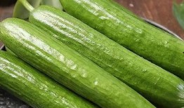 吃真人瓜,揭秘真人瓜背后的真相与争议