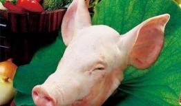 猪头吃瓜视频大全,趣味视频大全集锦