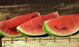 网上吃瓜的结果,揭秘近期热门吃瓜事件背后的真相