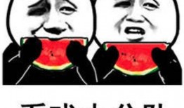 吃瓜打架,一场因瓜引发的激情碰撞