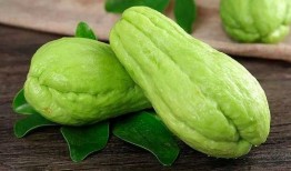 喂鸡吃佛手瓜,喂鸡新食趣谈