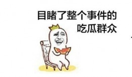 吃瓜打架,一场因瓜引发的激情碰撞