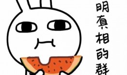 遇狼吃瓜,一场惊心动魄的生存挑战