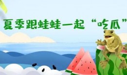 林呱呱吃瓜,揭秘娱乐圈背后的秘密与八卦