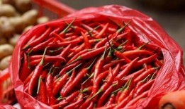 吃辣椒瓜的视频,辣味十足！辣椒瓜视频大揭秘