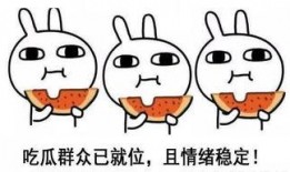 搞笑吃瓜队长小说推荐,跟随搞笑吃瓜队长畅游小说世界