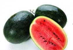 皮厚的软皮瓜怎么吃,皮厚软皮瓜的多样食用攻略