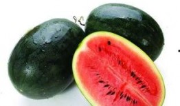 皮厚的软皮瓜怎么吃,皮厚软皮瓜的多样食用攻略