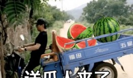 带你吃瓜奇葩公交,带你揭秘“带你吃瓜”奇葩公交背后的故事