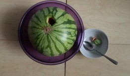 醉太平吃瓜,揭秘吃瓜群众的狂欢盛宴