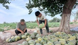 每日精选吃瓜,盘点娱乐圈最新热点事件